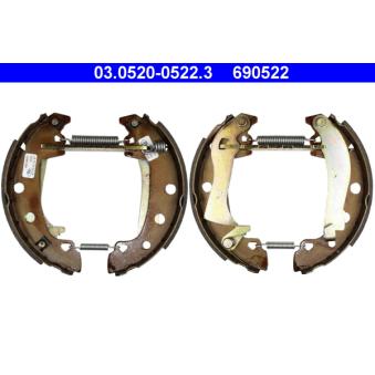 Kit de freins arrière (prémontés) ATE OEM 7701203443