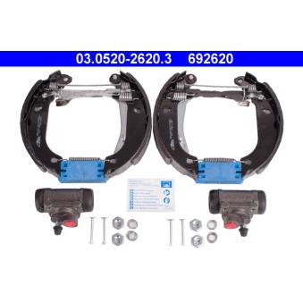 Kit de freins arrière (prémontés) ATE OEM 424226