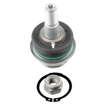 Rotule de suspension LEMFORDER 36916 01 pour FORD TRANSIT 2.0 EcoBlue mHEV - 170cv