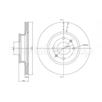 Jeu de 2 disques de frein avant METELLI OEM 517121J500