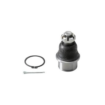Rotule de suspension AISIN OEM 0K72A34510A Rotule de suspension AISIN OEM 0K72A34510A