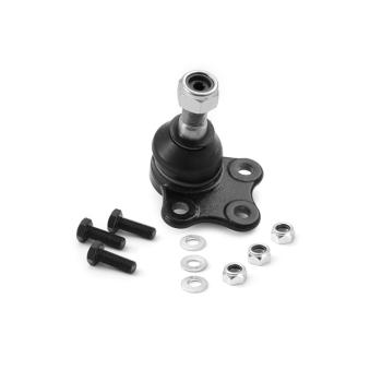 Rotule de suspension AISIN OEM 5450200QAA Rotule de suspension AISIN OEM 5450200QAA