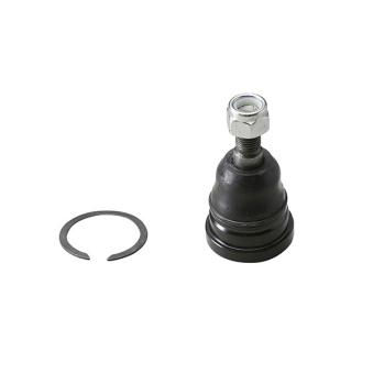 Rotule de suspension AISIN JBJTO-033