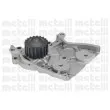 METELLI 24-0783 - Pompe à eau