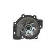 AISIN WV-003C - Pompe à eau
