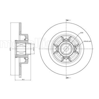 Jeu de 2 disques de frein arrière METELLI OEM 7701206328