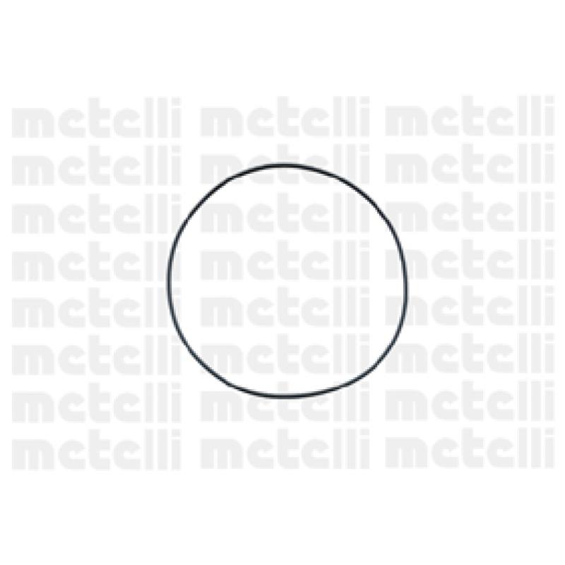 Pompe à eau METELLI 24-0528 - Visuel 1