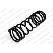 LESJOFORS 4262018 - Ressort de suspension