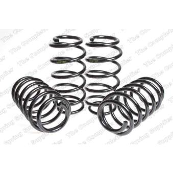 Jeu de suspensions, ressorts LESJOFORS 4504202