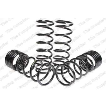 Jeu de suspensions, ressorts LESJOFORS 4562005