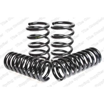 Jeu de suspensions, ressorts LESJOFORS 4577802