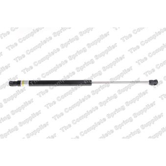 Vérin de hayon, de coffre LESJOFORS [8104248]