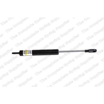 Vérin de hayon, de coffre LESJOFORS 8127529