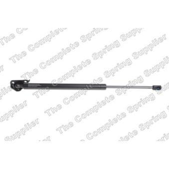 Vérin de hayon, de coffre arrière gauche LESJOFORS [8142113]