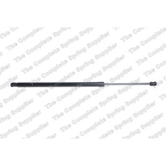 Vérin de hayon, de coffre LESJOFORS [8142118]