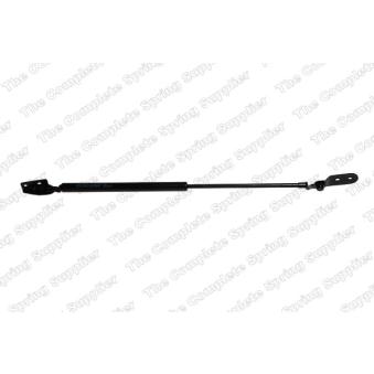 Vérin de hayon, de coffre arrière droit LESJOFORS 8144200