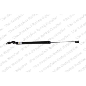 Vérin de hayon, de coffre arrière gauche LESJOFORS [8155408]