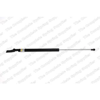 Vérin de hayon, de coffre arrière gauche LESJOFORS [8155414]