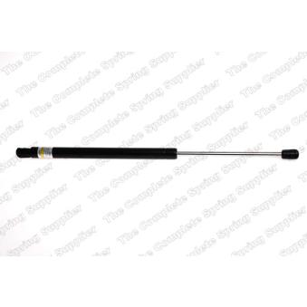 Vérin de hayon, de coffre LESJOFORS [8155422]