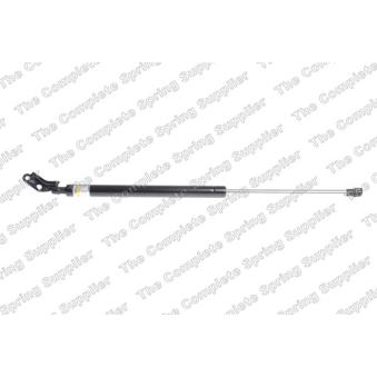 Vérin de hayon, de coffre arrière gauche LESJOFORS 8155450