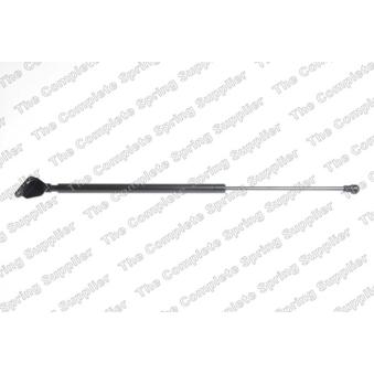 Vérin de hayon, de coffre arrière gauche LESJOFORS 8155456