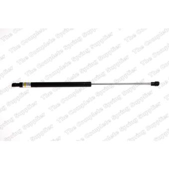 Vérin de hayon, de coffre LESJOFORS OEM 2029800364