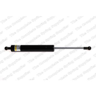 Vérin de hayon, de coffre LESJOFORS [8156806]