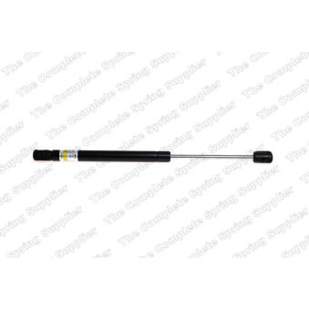 Vérin de hayon, de coffre LESJOFORS [8156819]