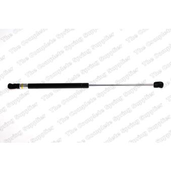 Vérin de hayon, de coffre LESJOFORS OEM 41626801258