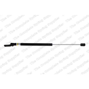 Vérin de hayon, de coffre arrière droit LESJOFORS OEM MR991808