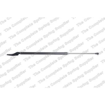 Vérin de hayon, de coffre arrière droit LESJOFORS 8162068 pour NISSAN X-TRAIL 1.3 DIG-T - 160cv Vérin de hayon, de coffre arrière droit LESJOFORS 8162068 pour NISSAN X-TRAIL 1.3 DIG-T - 160cv