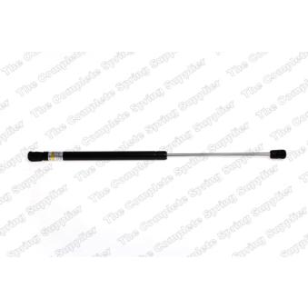 Vérin de hayon, de coffre LESJOFORS 8163467