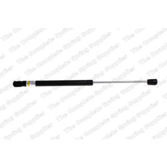 Vérin de hayon, de coffre LESJOFORS 8172929 pour CITROEN C3 1.9 DCI - 110cv