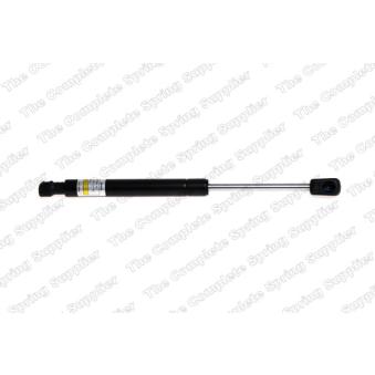 Vérin de hayon, de coffre LESJOFORS [8177813]