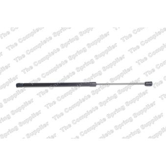 Vérin de hayon, de coffre LESJOFORS 8182928 Vérin de hayon, de coffre LESJOFORS 8182928