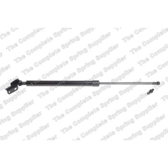 Vérin de hayon, de coffre arrière droit LESJOFORS [8188318]