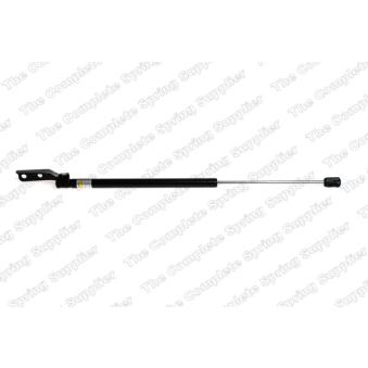 Vérin de hayon, de coffre arrière gauche LESJOFORS 8188918