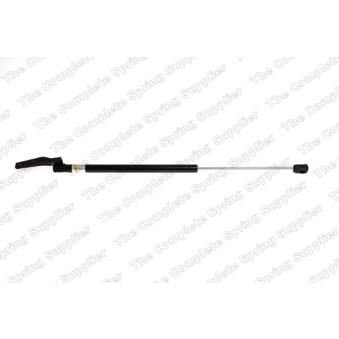 Vérin de hayon, de coffre arrière droit LESJOFORS 8188919