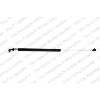 Vérin de hayon, de coffre arrière gauche LESJOFORS 8192505