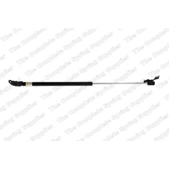 Vérin de hayon, de coffre arrière gauche LESJOFORS 8192510