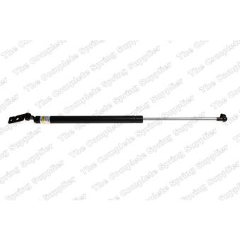 Vérin de hayon, de coffre arrière gauche LESJOFORS 8192514