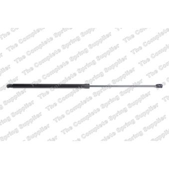 Vérin de hayon, de coffre LESJOFORS [8195096]