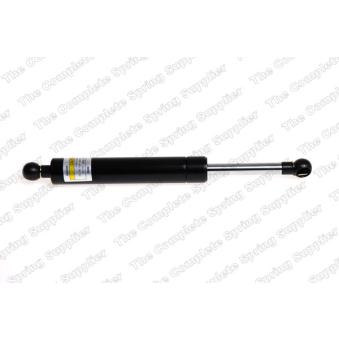 Vérin de hayon, de coffre LESJOFORS [8195816]