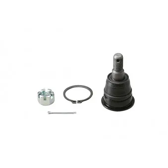 Rotule de suspension AISIN OEM 4016031U00