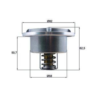 Thermostat d'eau MAHLE OEM 21705453