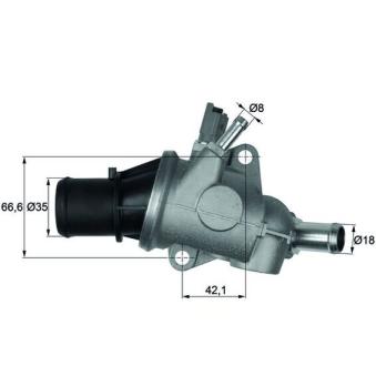 Thermostat d'eau MAHLE OEM 60663618