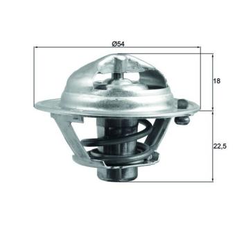 Thermostat d'eau MAHLE OEM 255002A050
