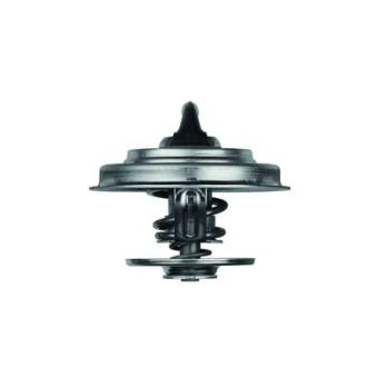 Thermostat d'eau MAHLE OEM 0022039175