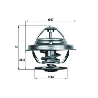 Thermostat d'eau MAHLE OEM A0022037775