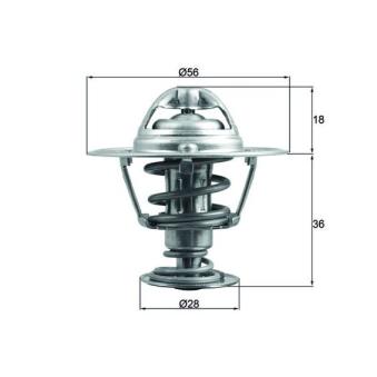 Thermostat d'eau MAHLE OEM 21210AA181